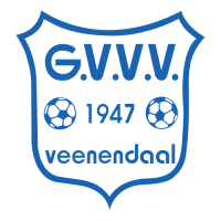 GVVV team logo